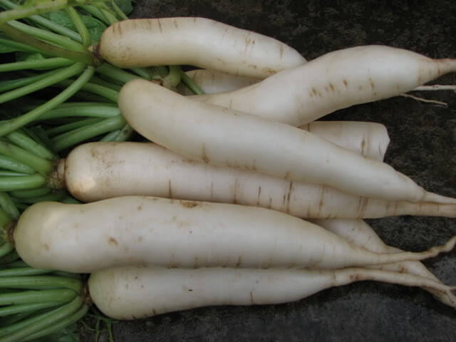 củ cải trắng